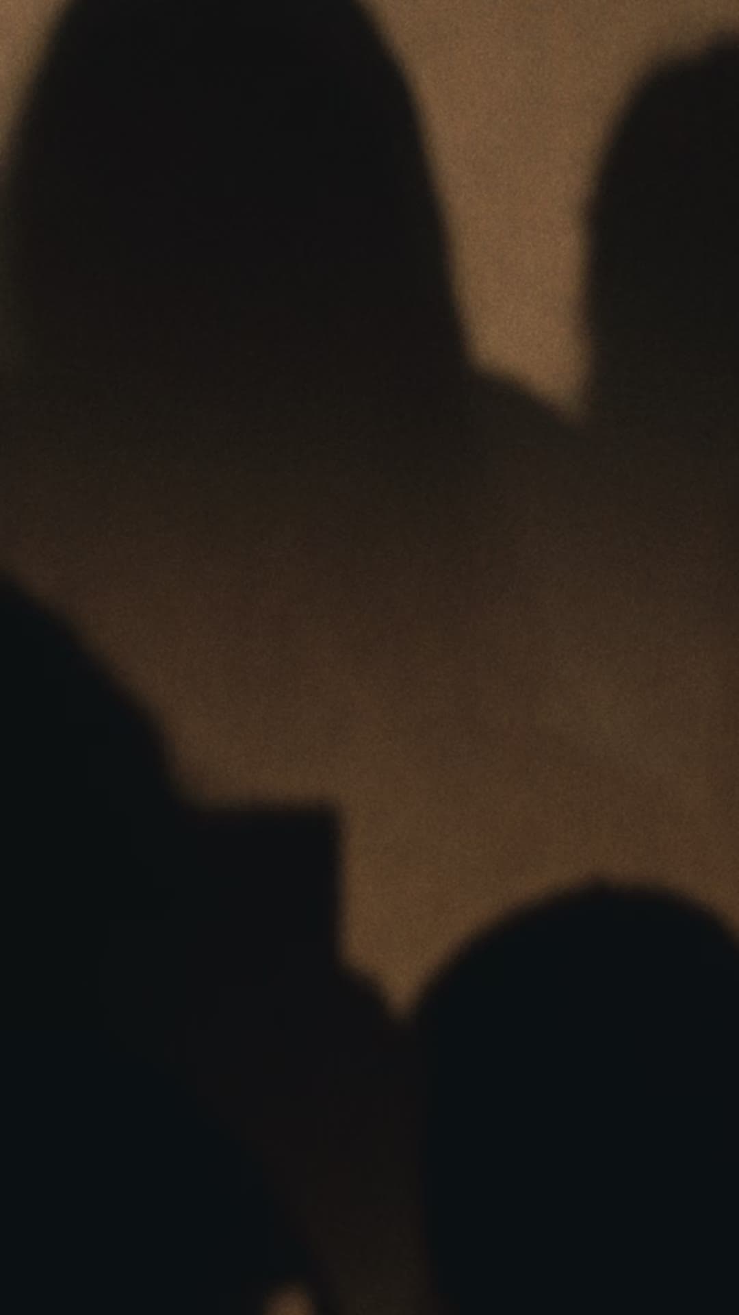 Zoolu Fest - Mardi Gras World — clip 2