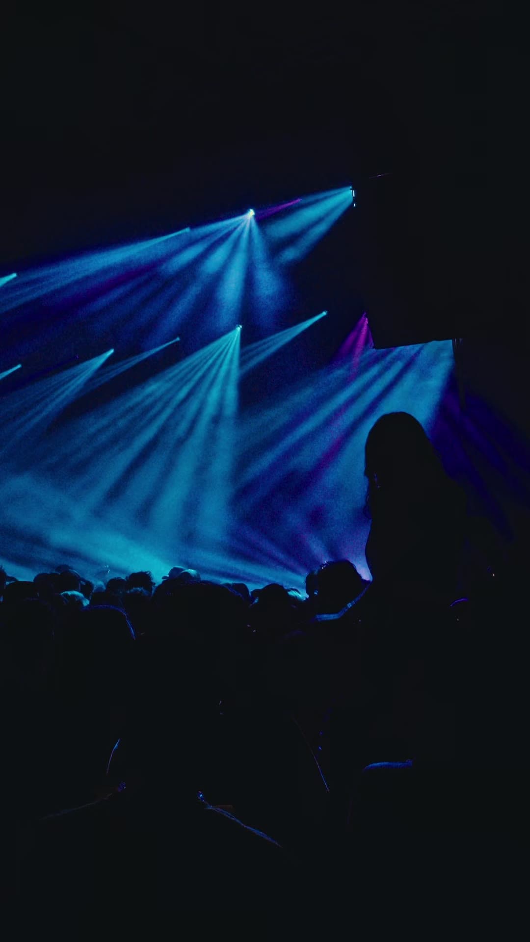 Zoolu Fest - Mardi Gras World — clip 7